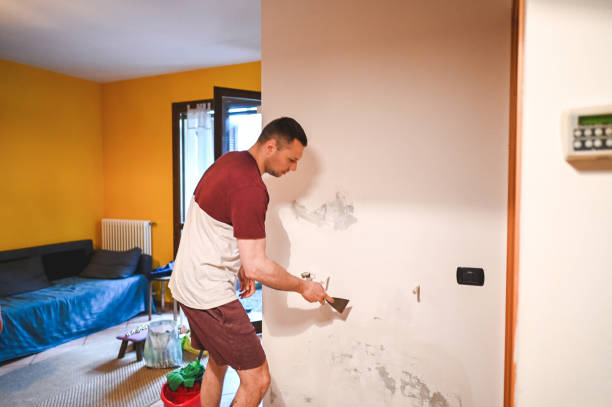 Best Fast Mold Removal  in Lula, GA